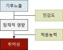 취약성 개념
